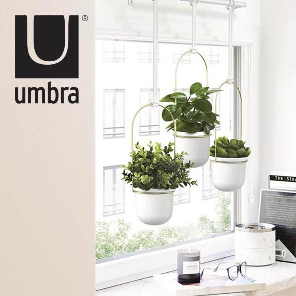 Umbra