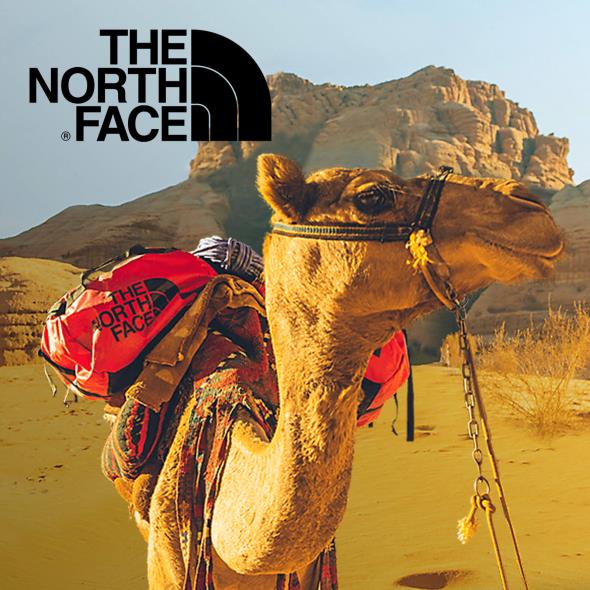 The North Face