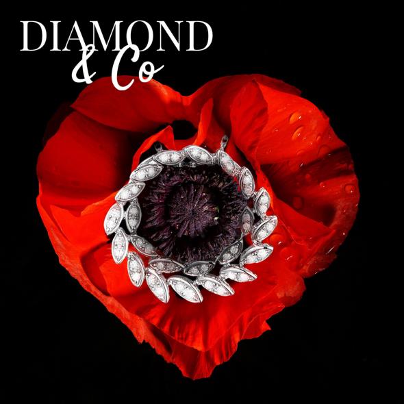Diamond & Co