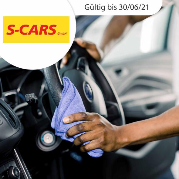 Professionelle Autoreinigung