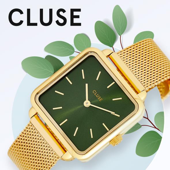 Cluse