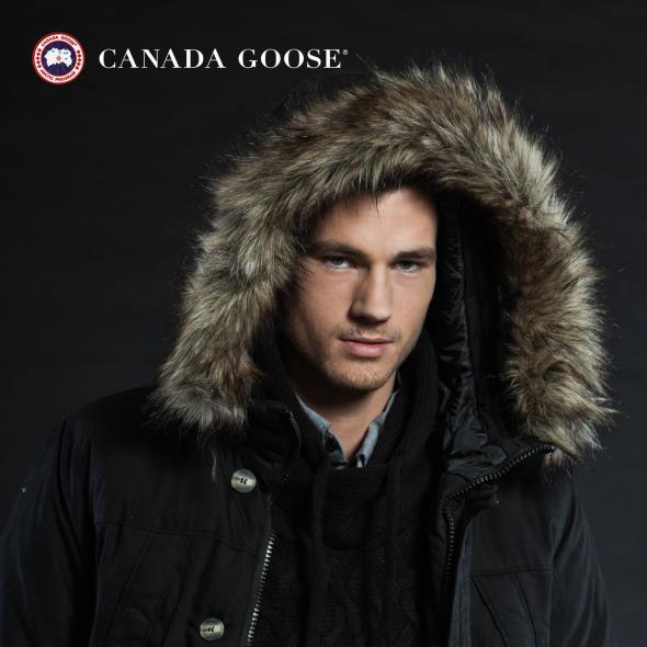 Canada Goose