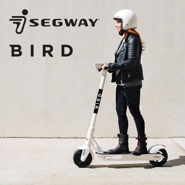 Segway, Bird