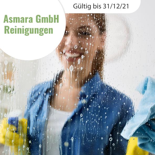 Fensterreinigung