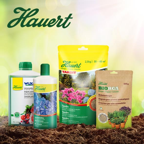 Hauert