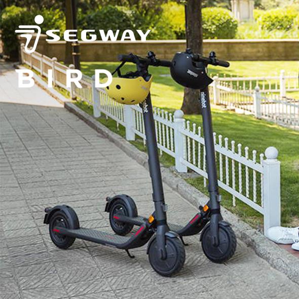 Segway, Bird