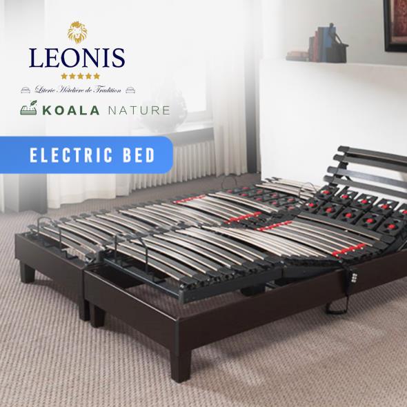 Leonis, Koala Nature