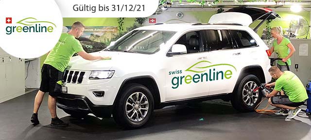 Umweltfreundliche Autoreinigung