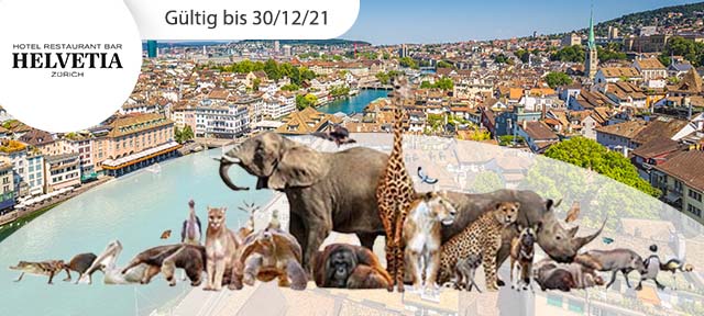 Zoo-Erlebnis in Zürich