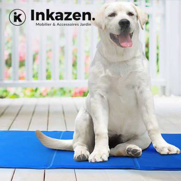 Inkazen