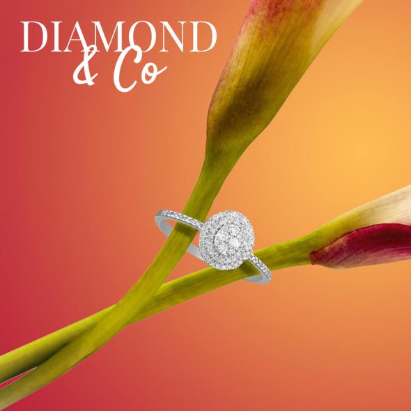 Diamond & Co