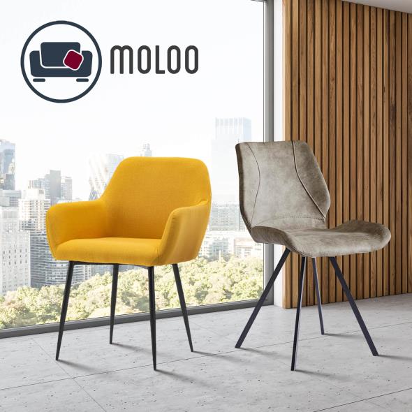 Moloo
