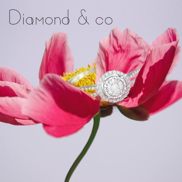 Diamond & co