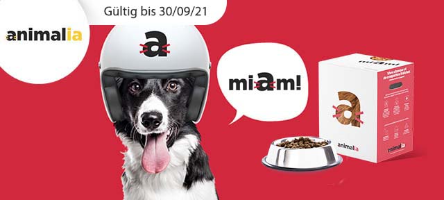 Gourmet-Abo für deinen Vierbeiner