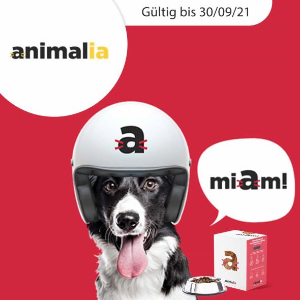 Gourmet-Abo für deinen Vierbeiner