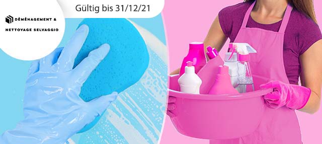 Endreinigung inkl. Abnahmegarantie