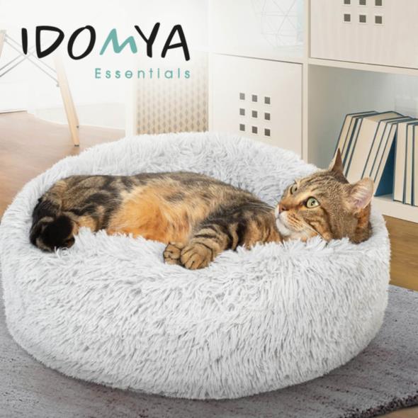 Idomya