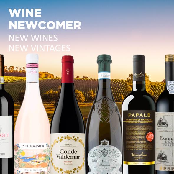 NEWCOMER - NEW WINES