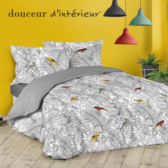 Douceur d'intérieur