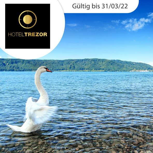 Schöne Tage in Singen beim Bodensee