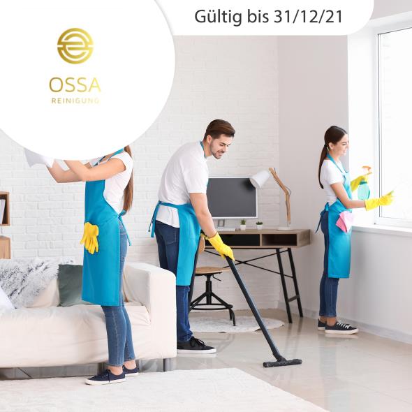 Endreinigung inkl. Abgabegarantie