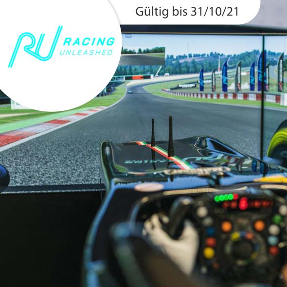 Rennsimulator fahren