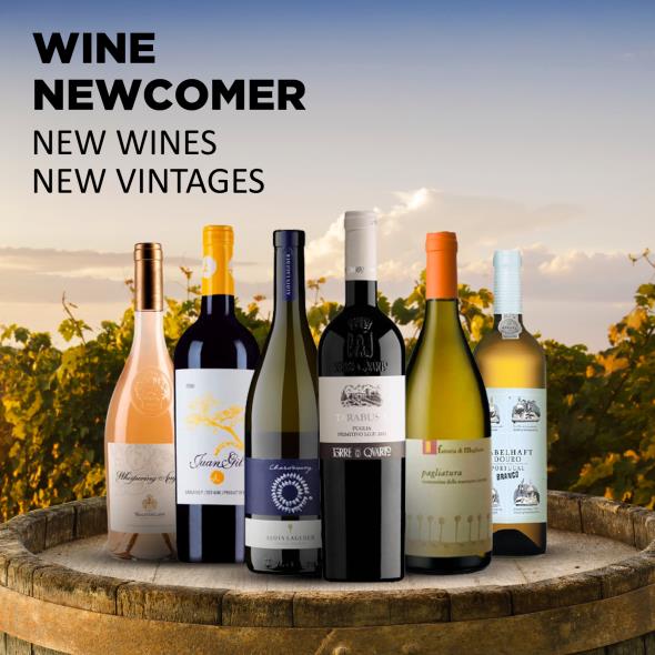 NEWCOMER - NEW WINES