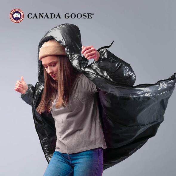 Canada Goose